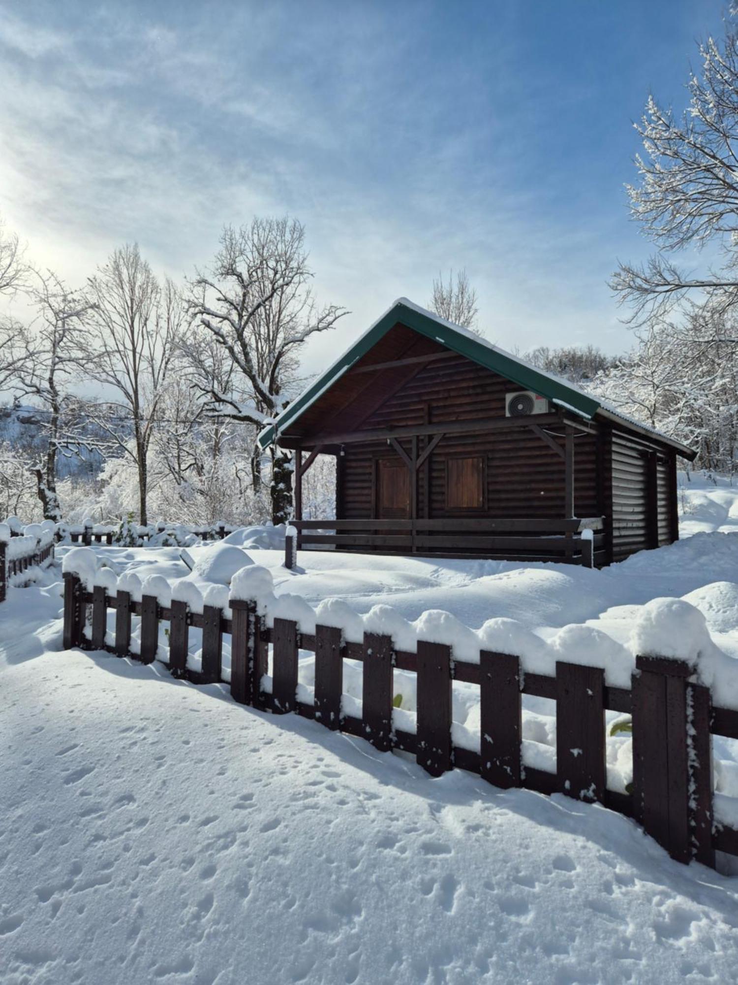 Cabin House Dubovik سيتينيي المظهر الخارجي الصورة