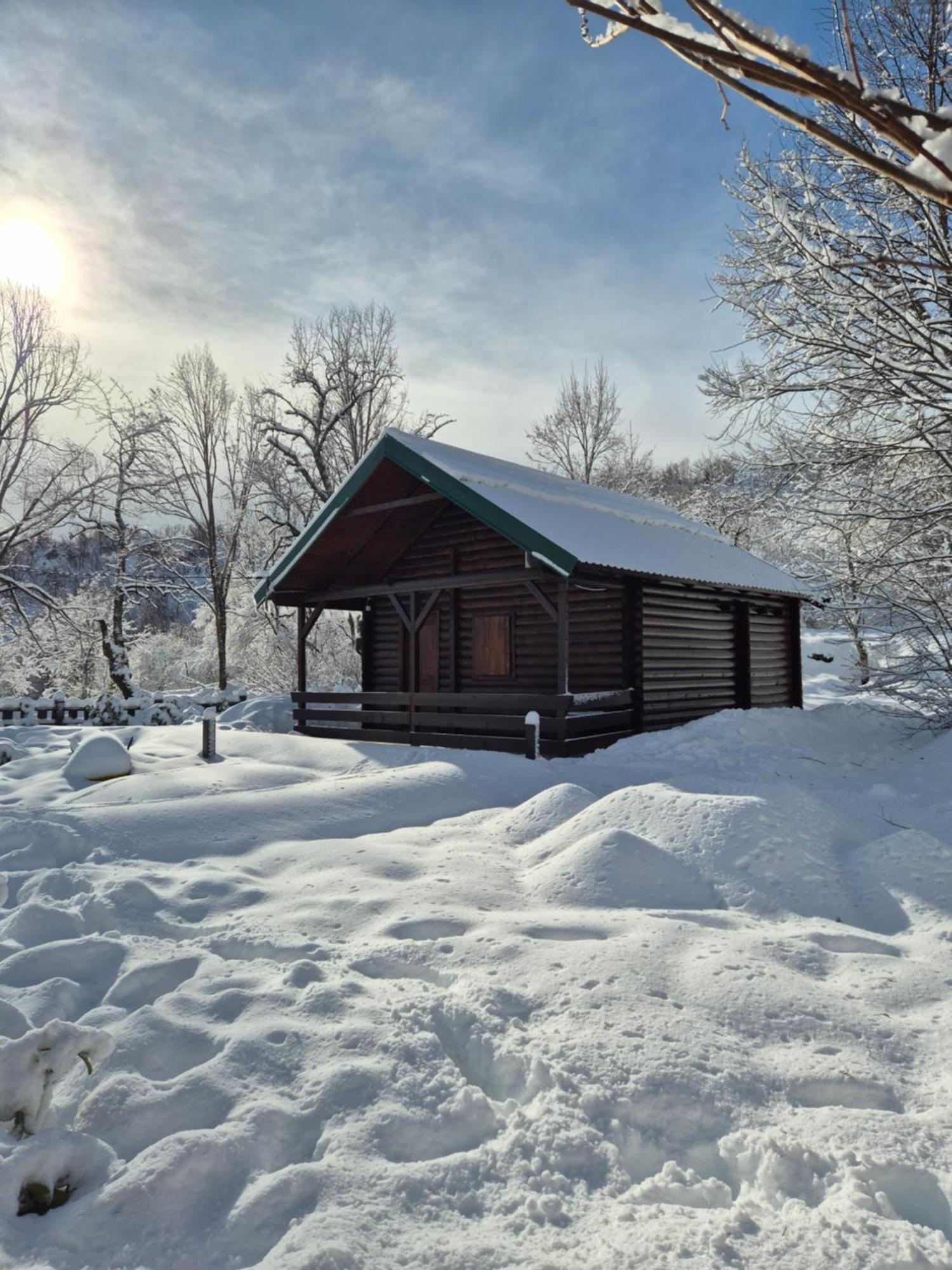 Cabin House Dubovik سيتينيي المظهر الخارجي الصورة