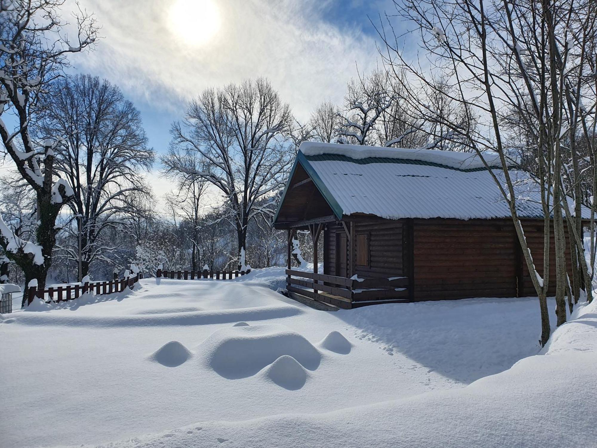 Cabin House Dubovik سيتينيي المظهر الخارجي الصورة