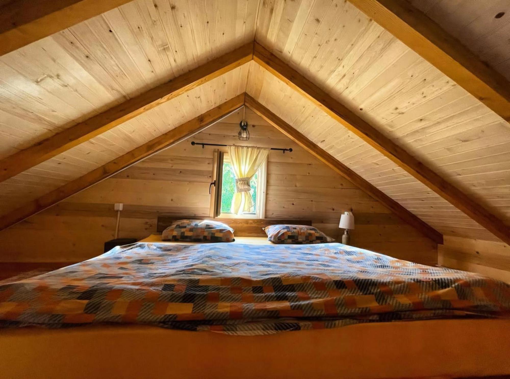 Cabin House Dubovik سيتينيي المظهر الخارجي الصورة